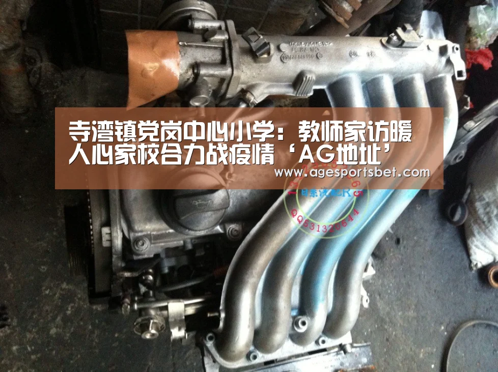 寺湾镇党岗中心小学:教师家访暖人心家校合力战疫情‘AG地址’(图1) AG视讯