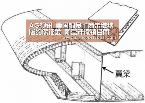 AG视讯_美国铜金矿商未缴纳履约保证金 阿富汗撤销合同(图3) AG娱乐
