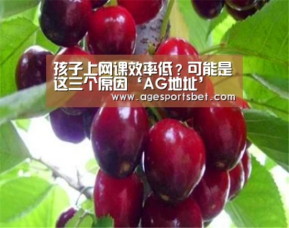 孩子上网课效率低?可能是这三个原因‘AG地址’(图2) AG视讯