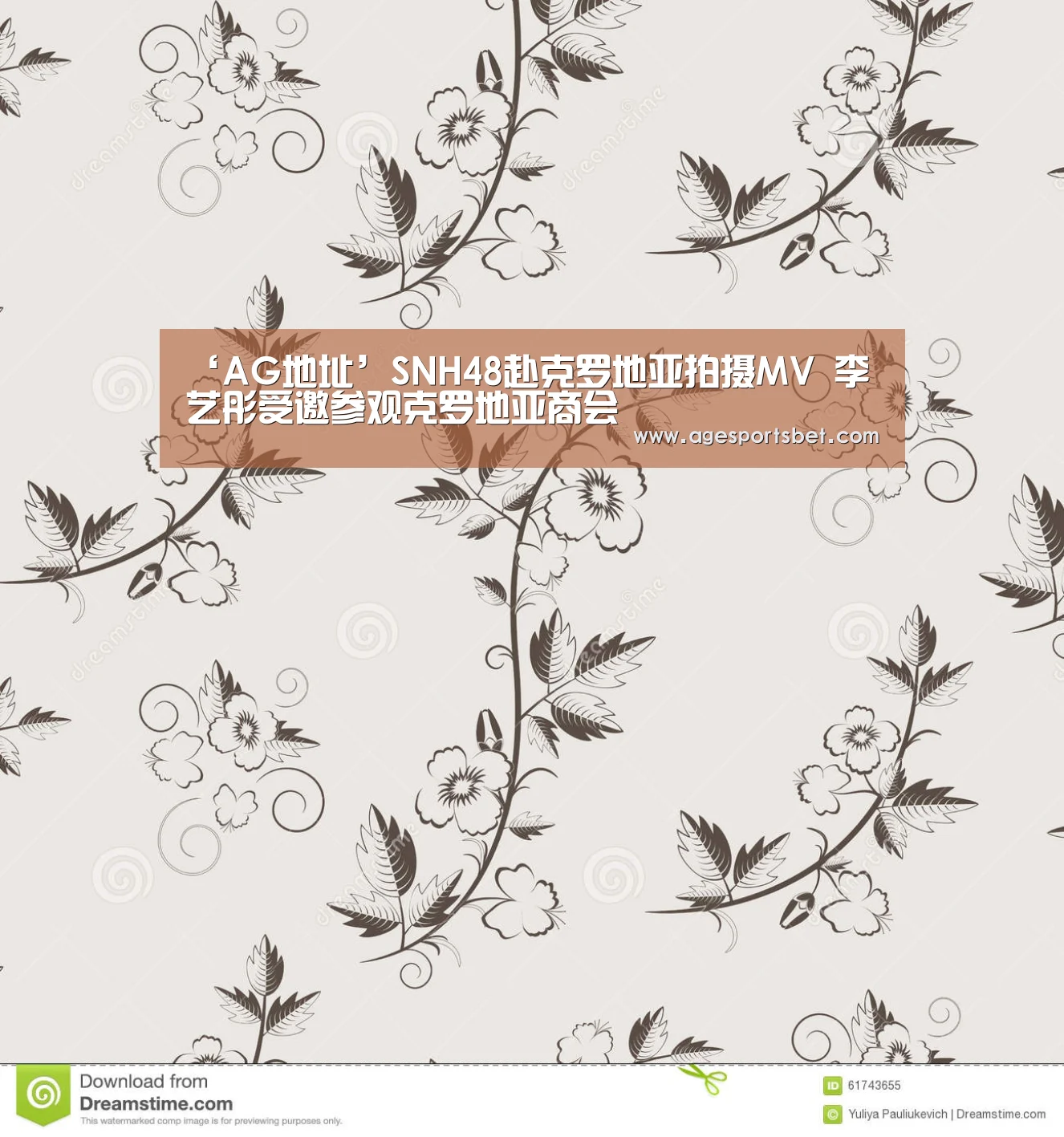 ‘AG地址’SNH48赴克罗地亚拍摄MV 李艺彤受邀参观克罗地亚商会(图1) AG国际厅
