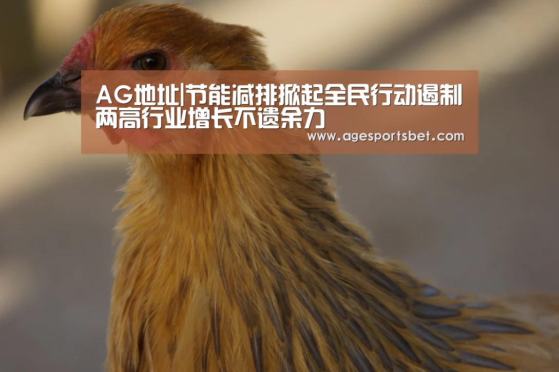 AG地址|节能减排掀起全民行动遏制两高行业增长不遗余力(图2) AG国际厅